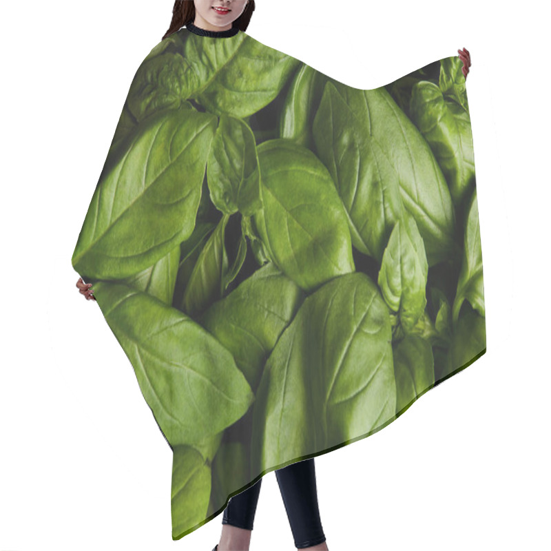 Personality  Full Frame Shot Of Ripe Green Basil For Background Hair Cutting Cape