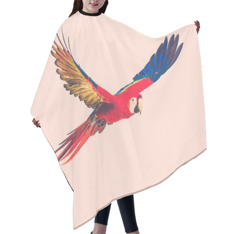 Personality  Flying Parrot Toned Hair Cutting Cape