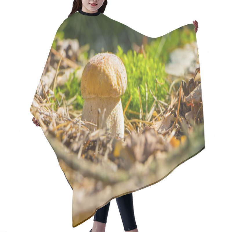 Personality  Small Cep Mushroom In Sun Wood Hair Cutting Cape