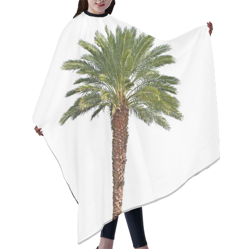 Personality  Palm Tree Isolated On White Background Hair Cutting Cape