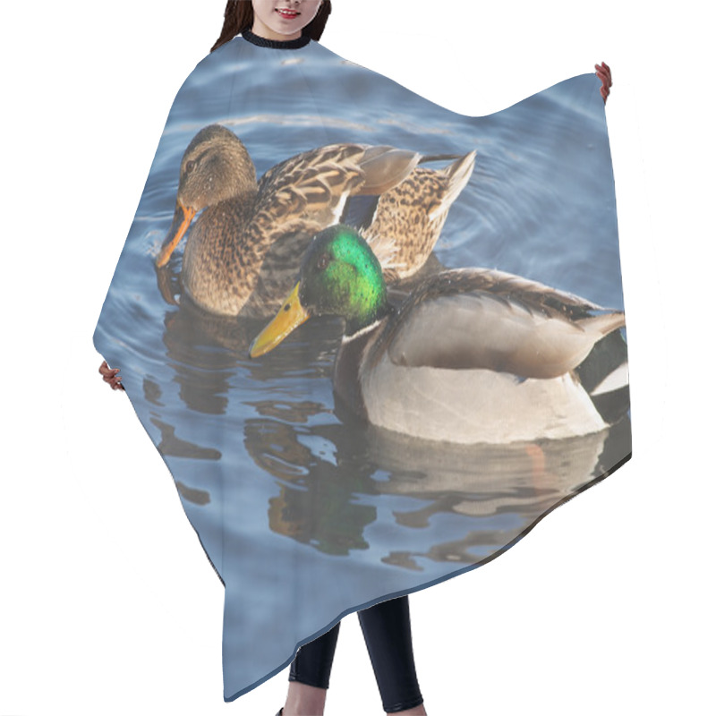 Personality  Couple Of Ducks Hair Cutting Cape