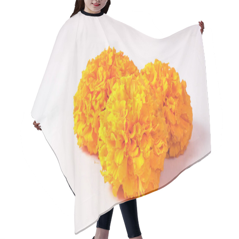 Personality  Yellow Flowers Of Marigold Isolated On White Background. Hair Cutting Cape