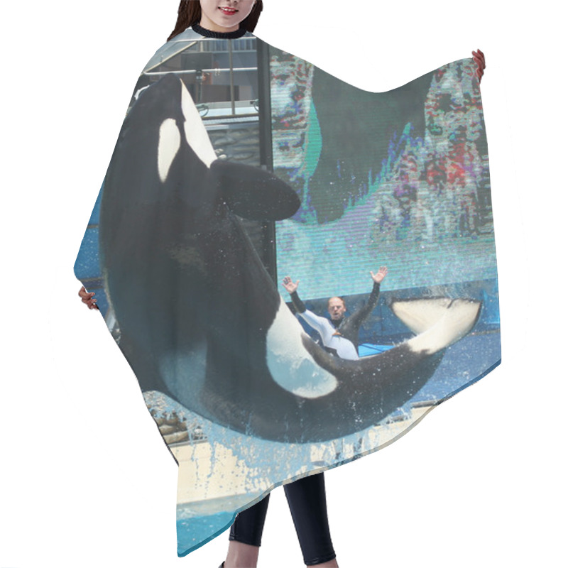 Personality  A Levitating Orca Hair Cutting Cape