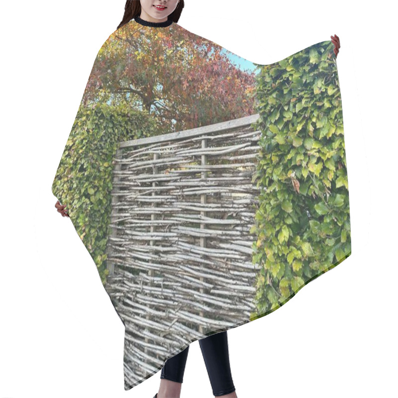 Personality  Wicker Willow Eco Fence And Dense Beech Hedge. The Hedge Is Composed Of Fagus Sylvatica, Displaying Horizontal Weaving In A Rustic, Natural Style Hair Cutting Cape