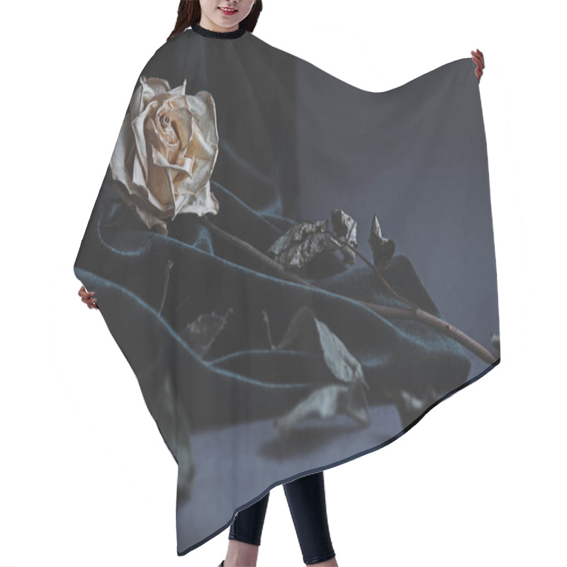 Personality  Dried White Rose On Gray Background With Dark Velvet Draping Hair Cutting Cape