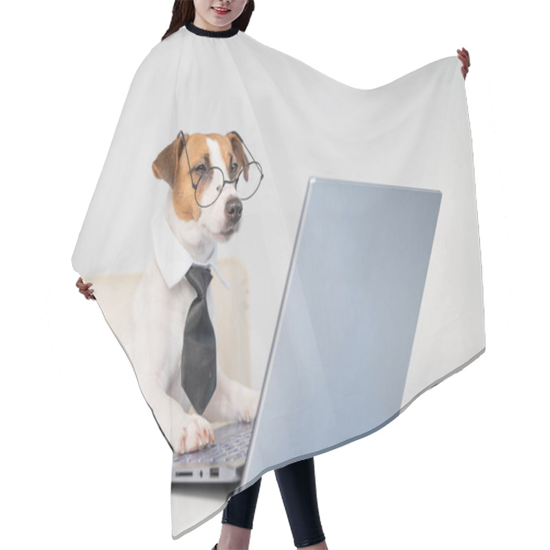 Personality  Dog Jack Russell Terrier In Glasses And A Tie Sits At A Desk And Works At A Computer On A White Background. Humorous Depiction Of A Boss Pet. Hair Cutting Cape