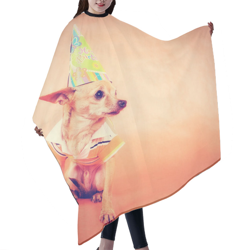 Personality  Chihuahua In Party Attire Hair Cutting Cape