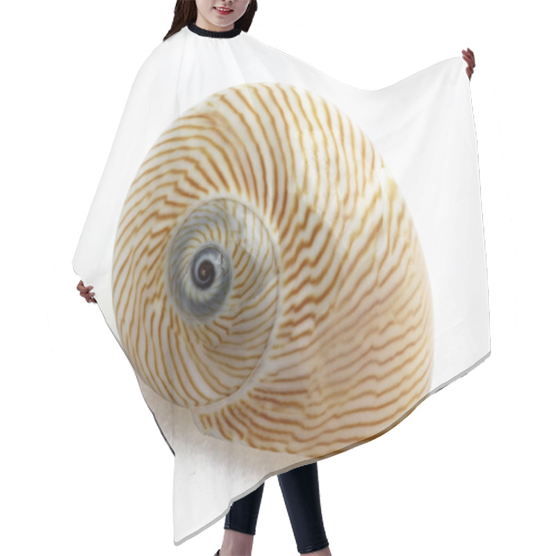 Personality  Lined Moon Snail Hair Cutting Cape