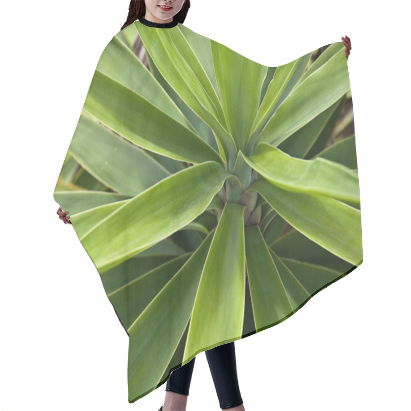 Personality  Agave Plant Hair Cutting Cape