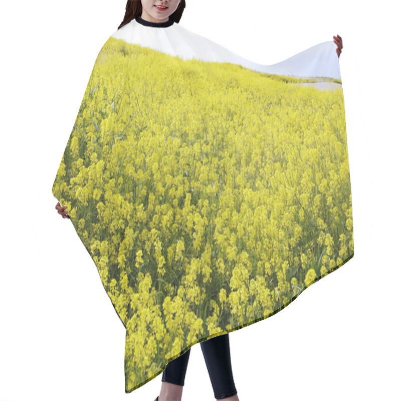 Personality  Yellow Rapeseed Flowers On Field Hair Cutting Cape