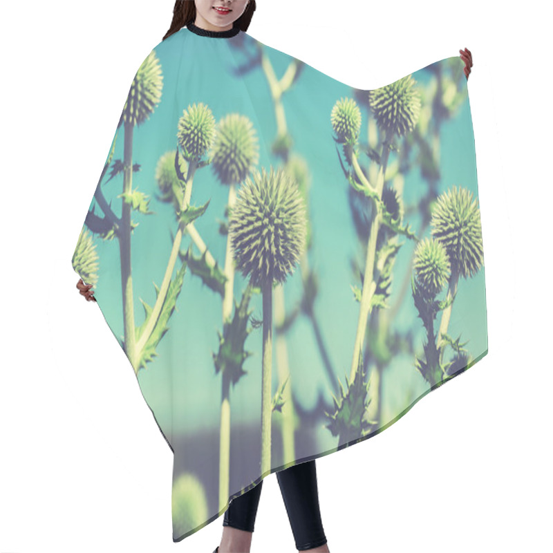 Personality  Thistle Flowers In Bloom Hair Cutting Cape