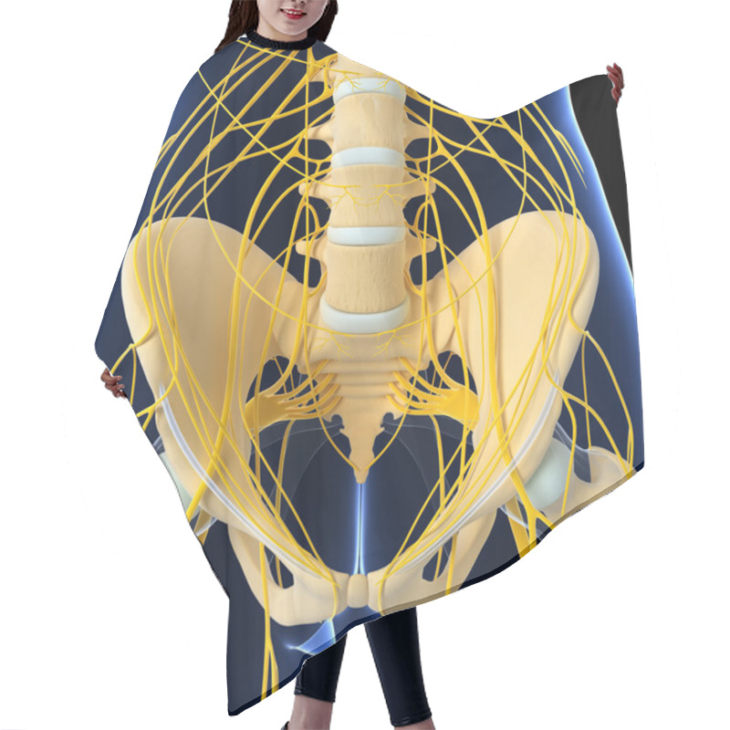 Personality  3d Art Illustration Of Nervous System Hair Cutting Cape