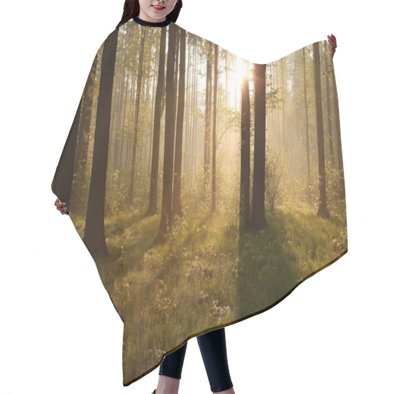 Personality  Sunrise Through The Trees In The Forest Hair Cutting Cape