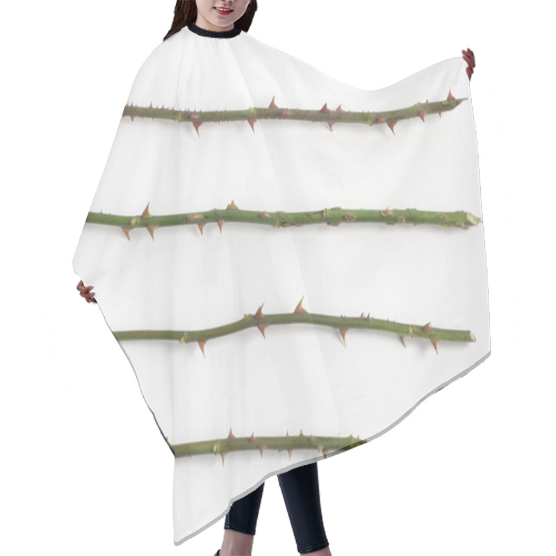 Personality  Rose Stalks With Thorns Hair Cutting Cape