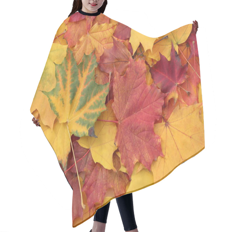 Personality  Bright Texture From Autumn Beautiful Maple Leaves. Hair Cutting Cape