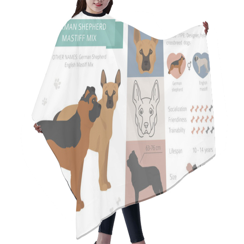 Personality  Designer Dogs, Crossbreed, Hybrid Mix Pooches Collection Isolate Hair Cutting Cape