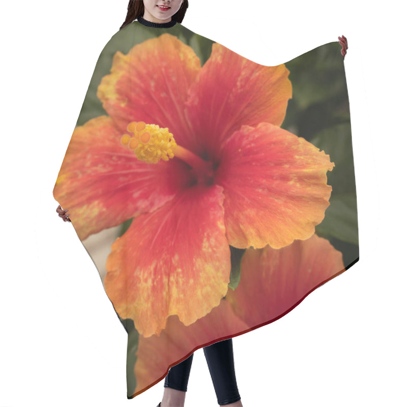 Personality  Image Of Bright Spring Flowers On The Streets Of Italy Hair Cutting Cape