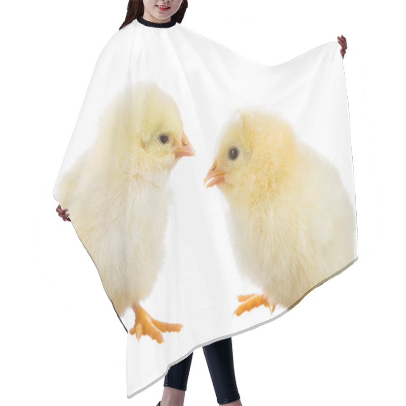 Personality  Yellow Chick Hair Cutting Cape