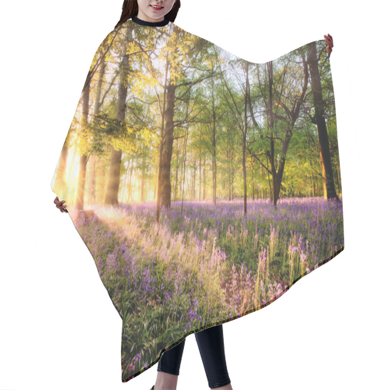 Personality  Amazing Sunrise Through Bluebell Woodland. Wild Spring Flowers Hidden In A Forest Landscape With Early Dawn Sunlight Hair Cutting Cape