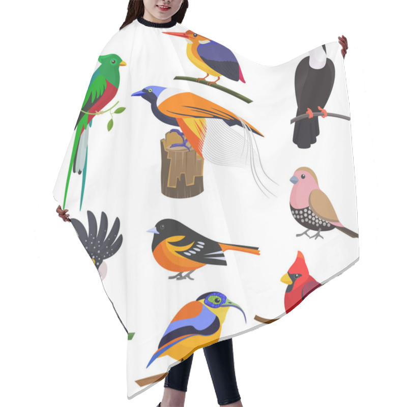 Personality  Set Of Vector Flat Cartoon Tropical Exotic Birds Set. Hair Cutting Cape