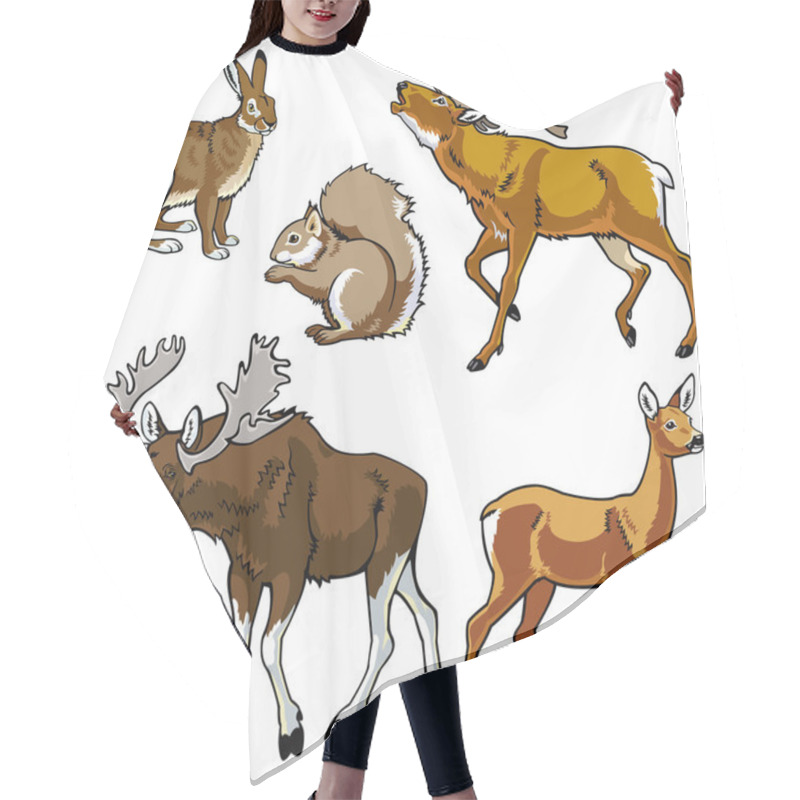 Personality  Set Of Forest Animals Hair Cutting Cape