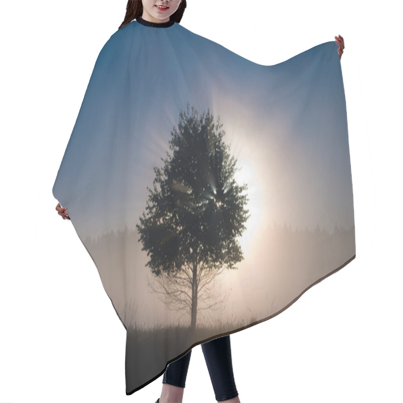 Personality  Arbor Mundi Hair Cutting Cape