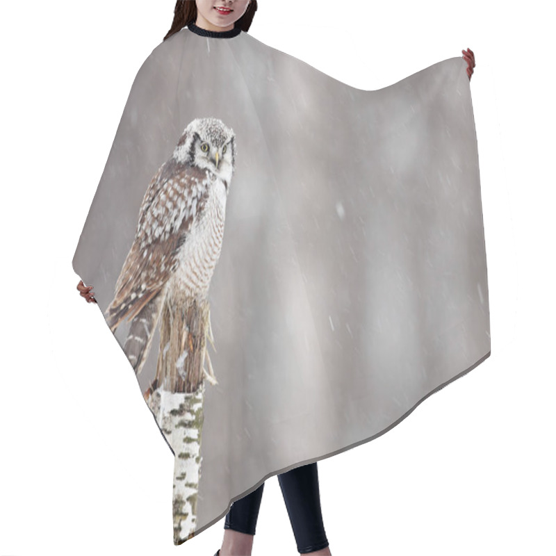 Personality  Short-eared Owl Hair Cutting Cape