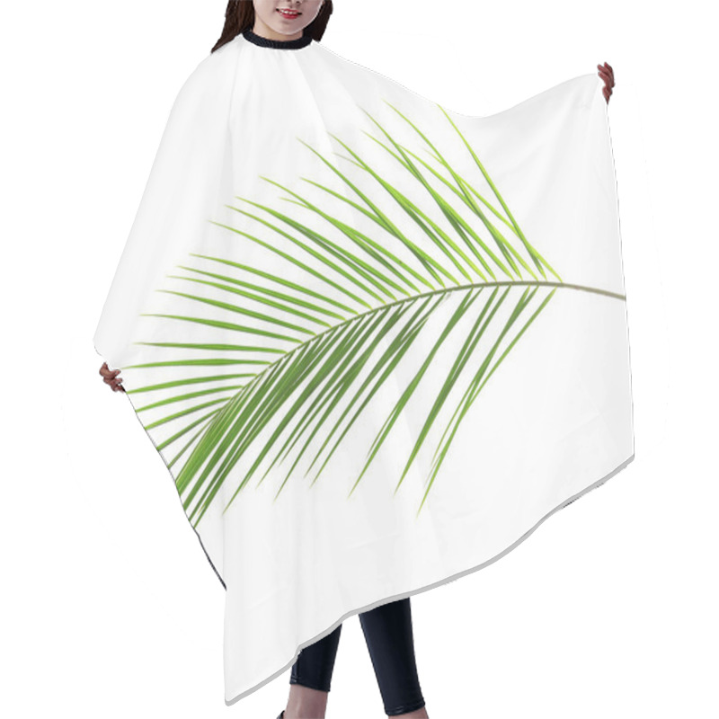 Personality  Fresh Tropical Date Palm Leaf On White Background Hair Cutting Cape