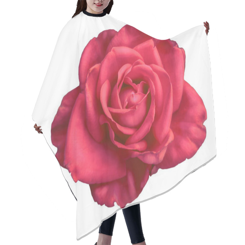 Personality  Red Rose Bud Isolated Hair Cutting Cape