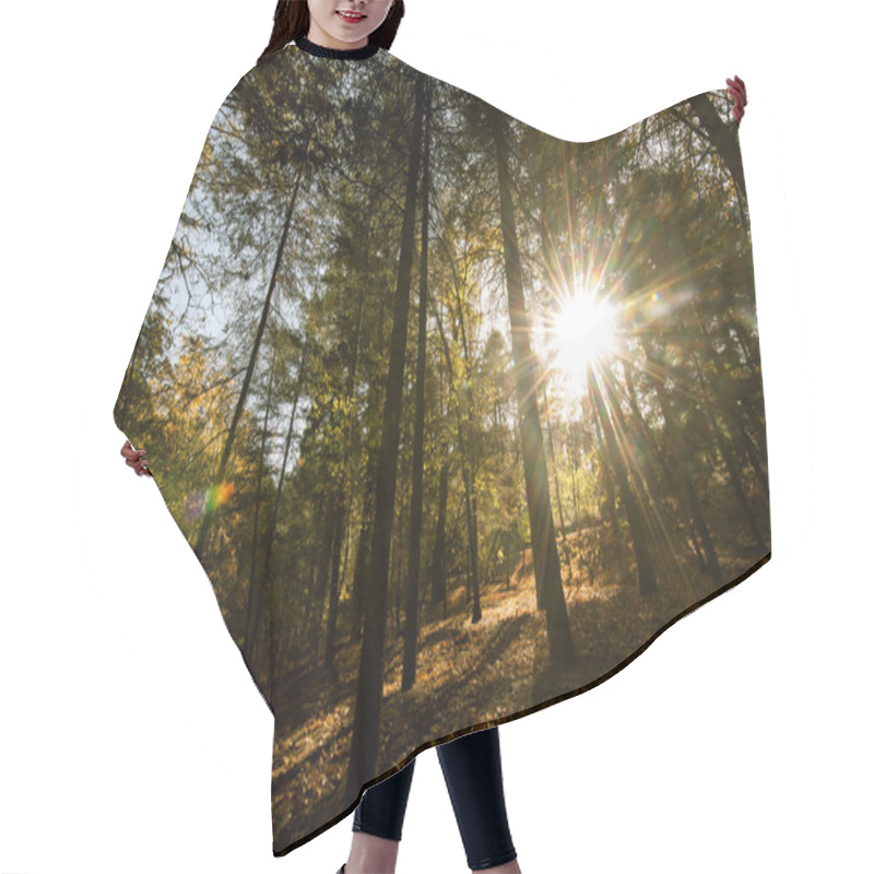 Personality  Sunbeams Through  Forest Trees Hair Cutting Cape