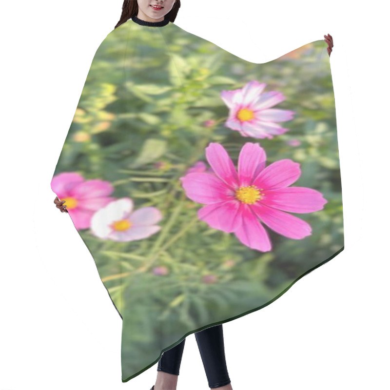 Personality  Flowers Cultivated In BioFarms Support Pollinators While Offering Edible And Aesthetic Uses. BioFarms Focus On Eco-friendly Flower Farming And Pollinators. Harmony Concept. Hair Cutting Cape