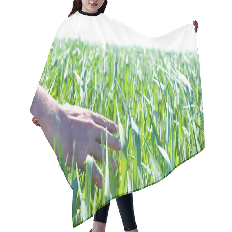 Personality  Hand Touching Fresh Wheat Hair Cutting Cape