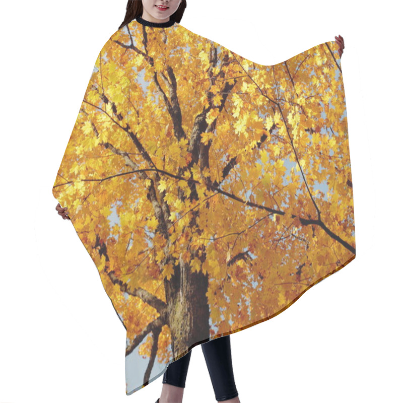 Personality  Autumn Maple Tree Hair Cutting Cape