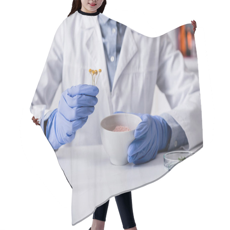 Personality  Cropped View Of Chemist In Latex Gloves Holding Dried Flowers Near Bowl With Cosmetic Powder And Flask With Extract  Hair Cutting Cape