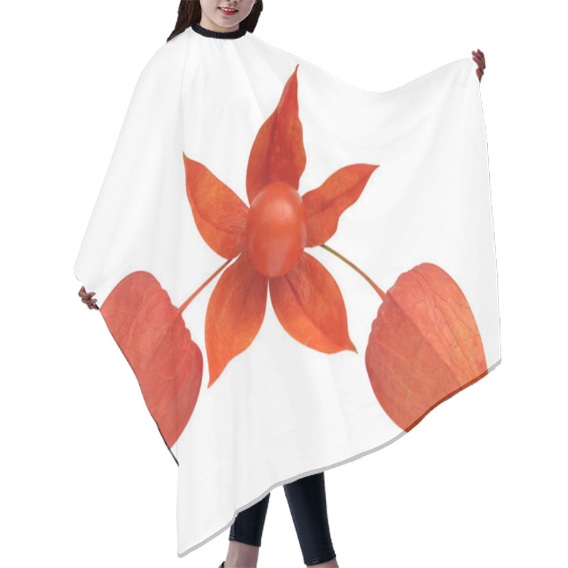 Personality  Winter Cherry Hair Cutting Cape