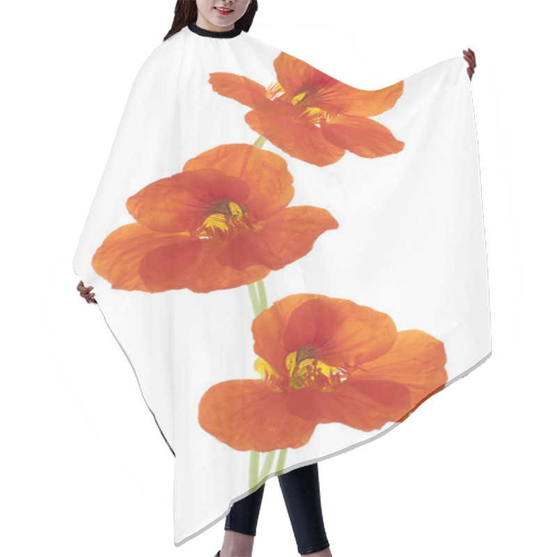 Personality  Nasturtium Hair Cutting Cape