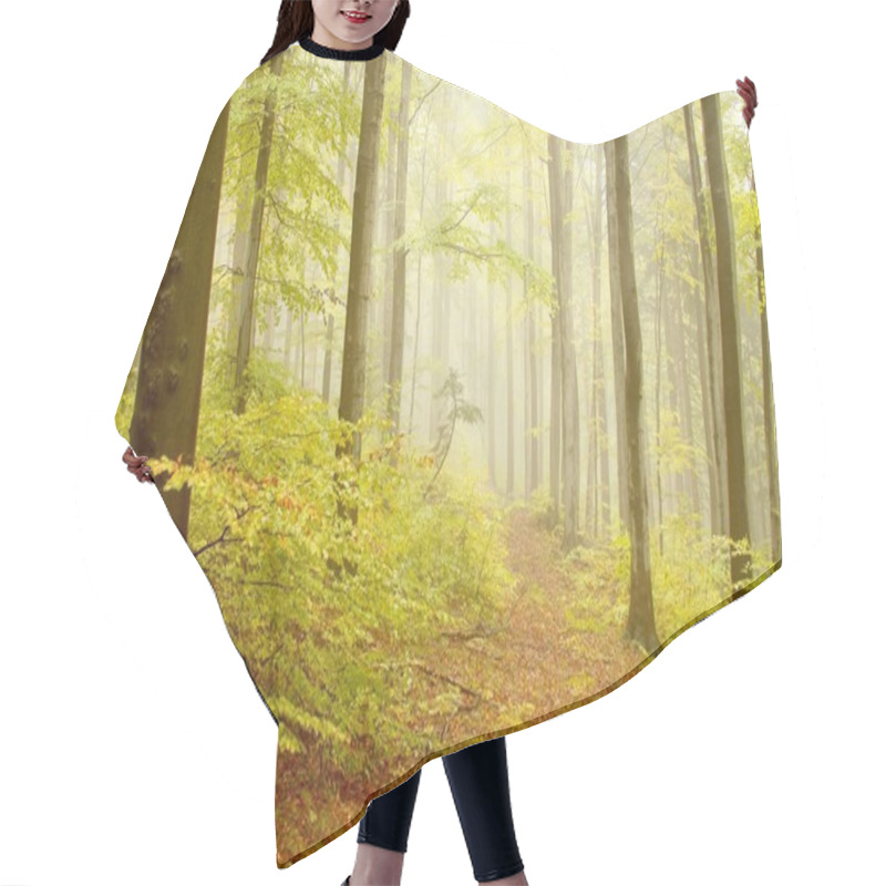 Personality  Path Leading By Beech Woods Hair Cutting Cape