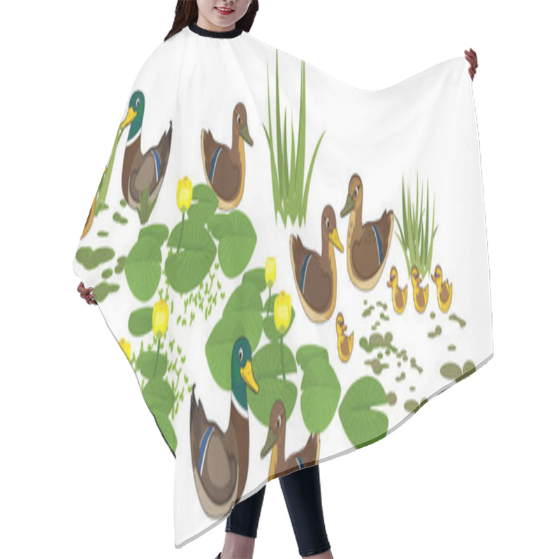 Personality   Cartoon Wild Ducks (Anas Platyrhynchos) And Yellow Water-lily Plants With Green Leaves And Yellow Flowers Isolated On White Background Hair Cutting Cape