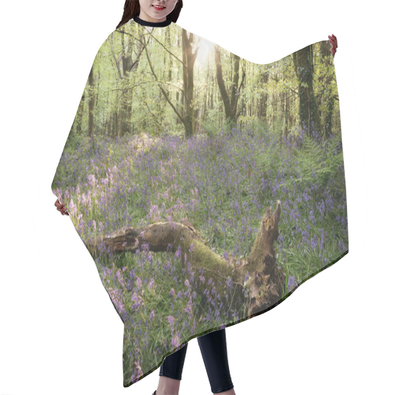 Personality  Bluebell Wood Cornwall England Uk  Hair Cutting Cape