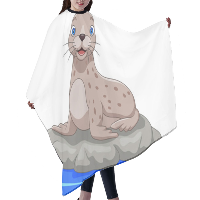 Personality  Vector Illustration Of Cartoon Sea Lion On The Rock Hair Cutting Cape