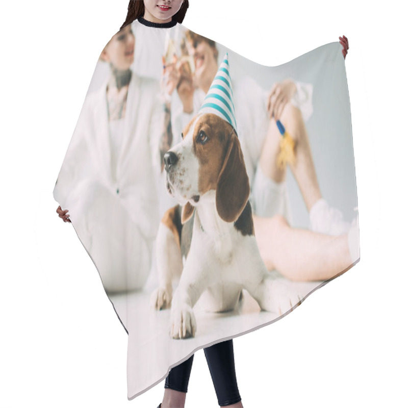 Personality  Selective Focus Of Cute Beagle Dog In Party Cap Near Cheerful Couple With Glasses Of Champagne On Grey Background  Hair Cutting Cape