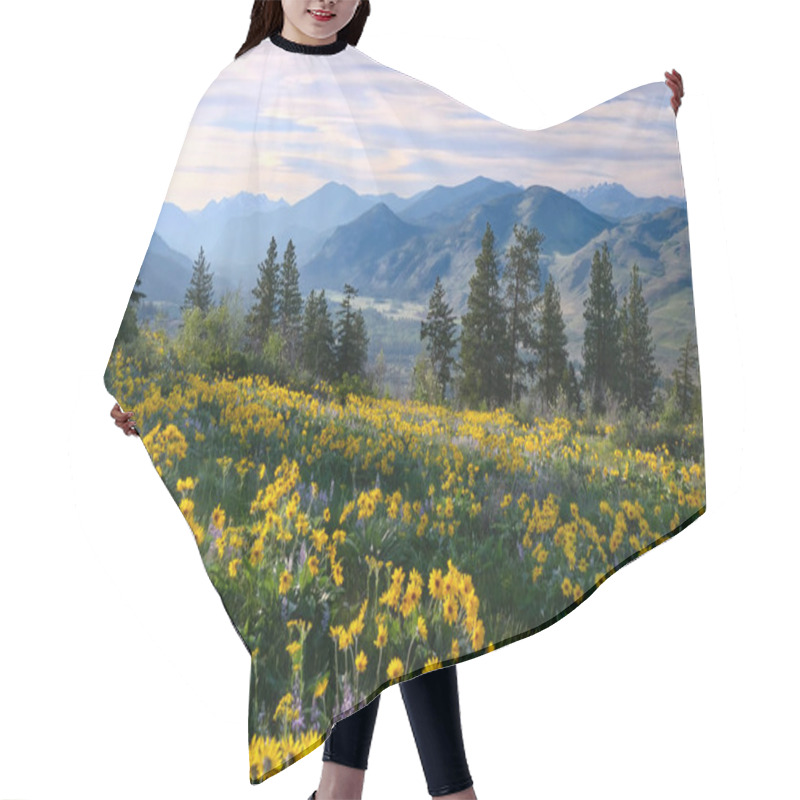 Personality  Hiking In Washington. Meadows With Arnica  And Lupine Wildflowers And Cascade Range Mountains Near Winthrop. WA. Unites States. Hair Cutting Cape