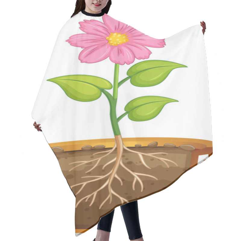 Personality  Pink Flower In Clay Pot On White Background Illustration Hair Cutting Cape