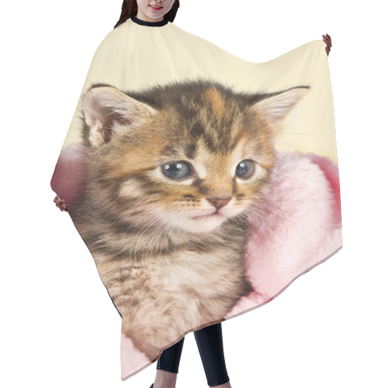 Personality  Kitten Walking Out Of White Basket Hair Cutting Cape