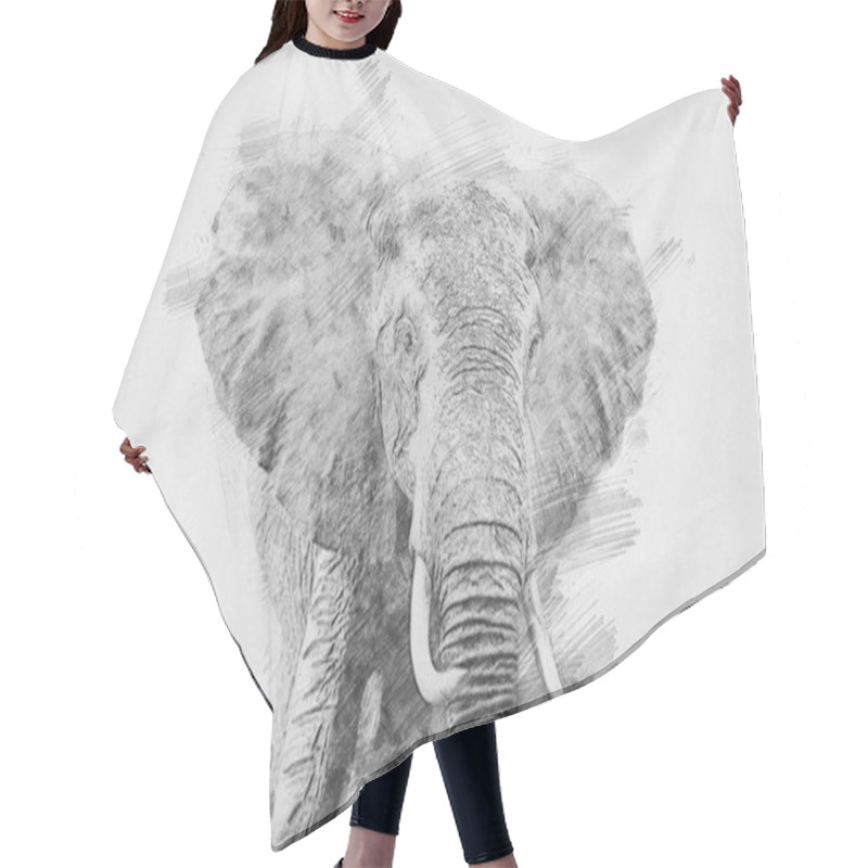 Personality  Elephant. Sketch With Pencil Hair Cutting Cape