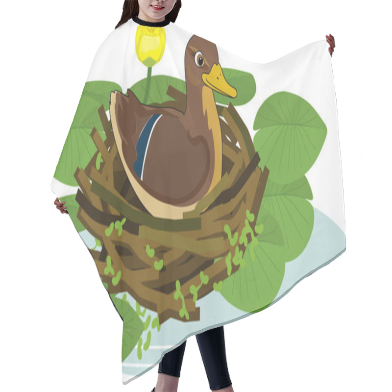 Personality   Mother Wild Duck (mallard Or Anas Platyrhynchos) Sits In Nest And Yellow Water-lily Plants With Green Leaves And Yellow Flowers Hair Cutting Cape