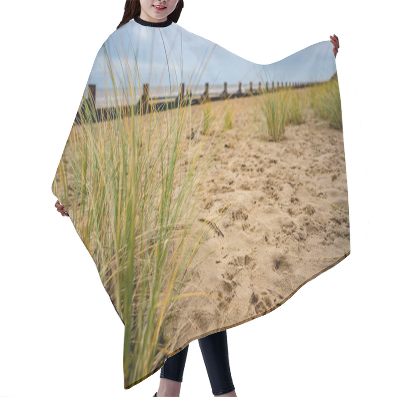 Personality  Selective Focus On The Marram Grass On A Sandy Beach On The North Norfolk Coast On A Dull And Overcast Winter's Day Hair Cutting Cape