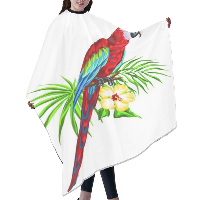 Personality  Illustration Of Macaw Parrot. Tropical Exotic Bird, Palm Leaves And Hibiscus Flowers.. Illustration Of Macaw Parrot. Hair Cutting Cape