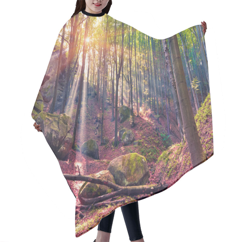 Personality  Autumn Morning In Mystical Woods. Hair Cutting Cape