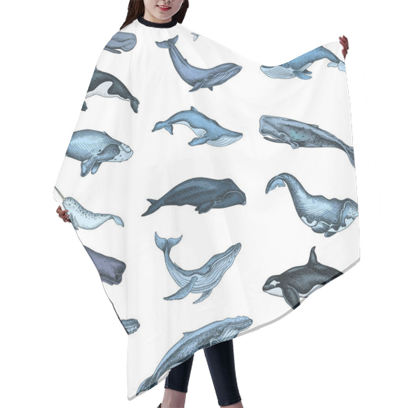 Personality  Vector Hand Drawn Illustration Of Wild Whales, Marine Style Hair Cutting Cape